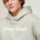 Tommy Hilfiger Ανδρικό φούτερ Regular Bold Classics Hoodie